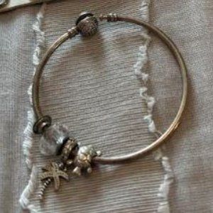 Pandora Charm Bracelet